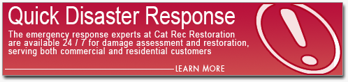 Quick Damage Restoration Disaster Response
